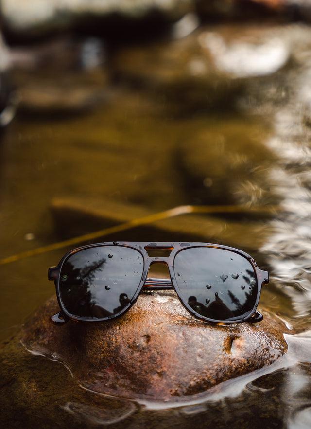 Vallon Howlin' Sunglasses Tortoise