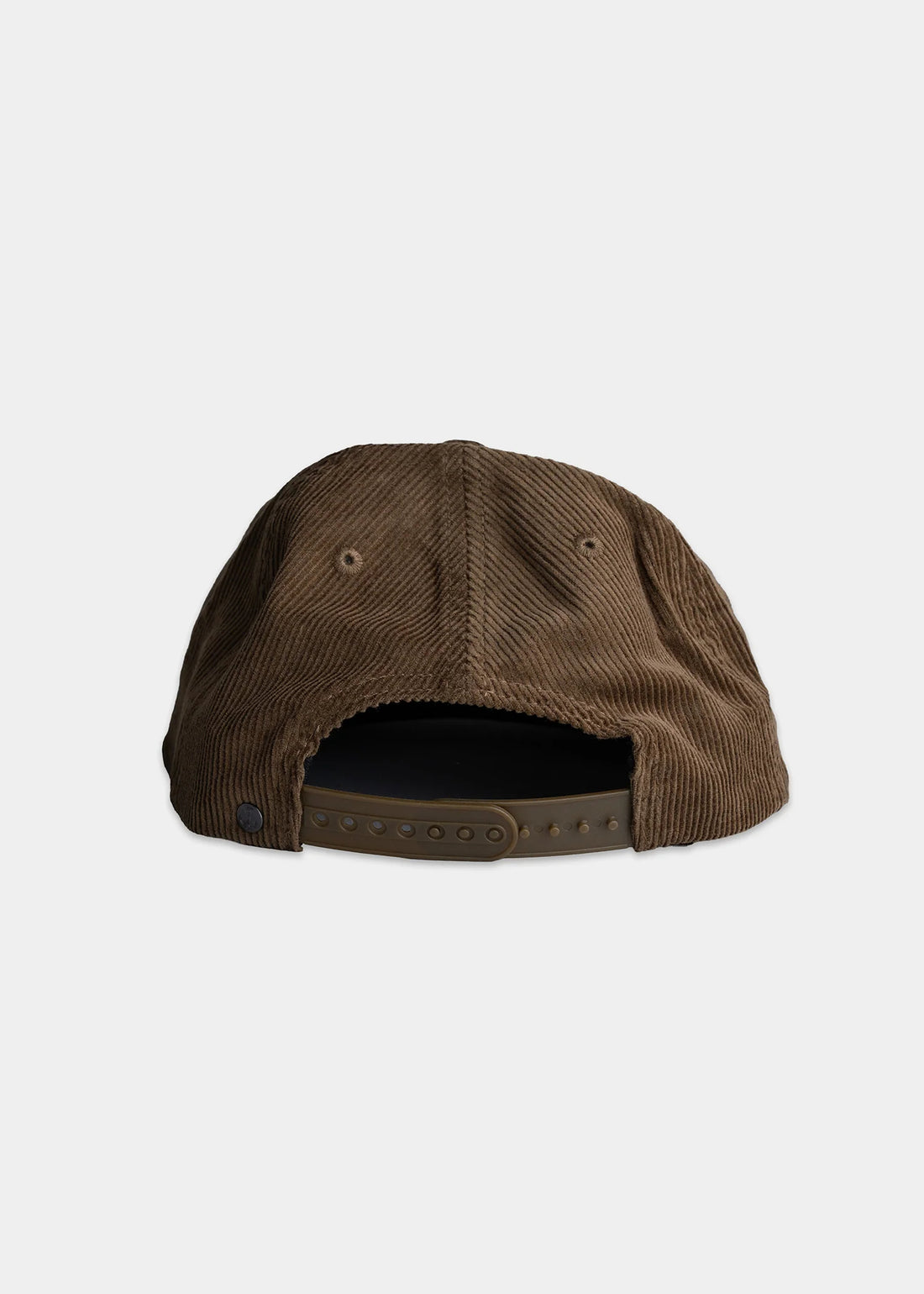 Iron And Resin Cactus Cap Brown