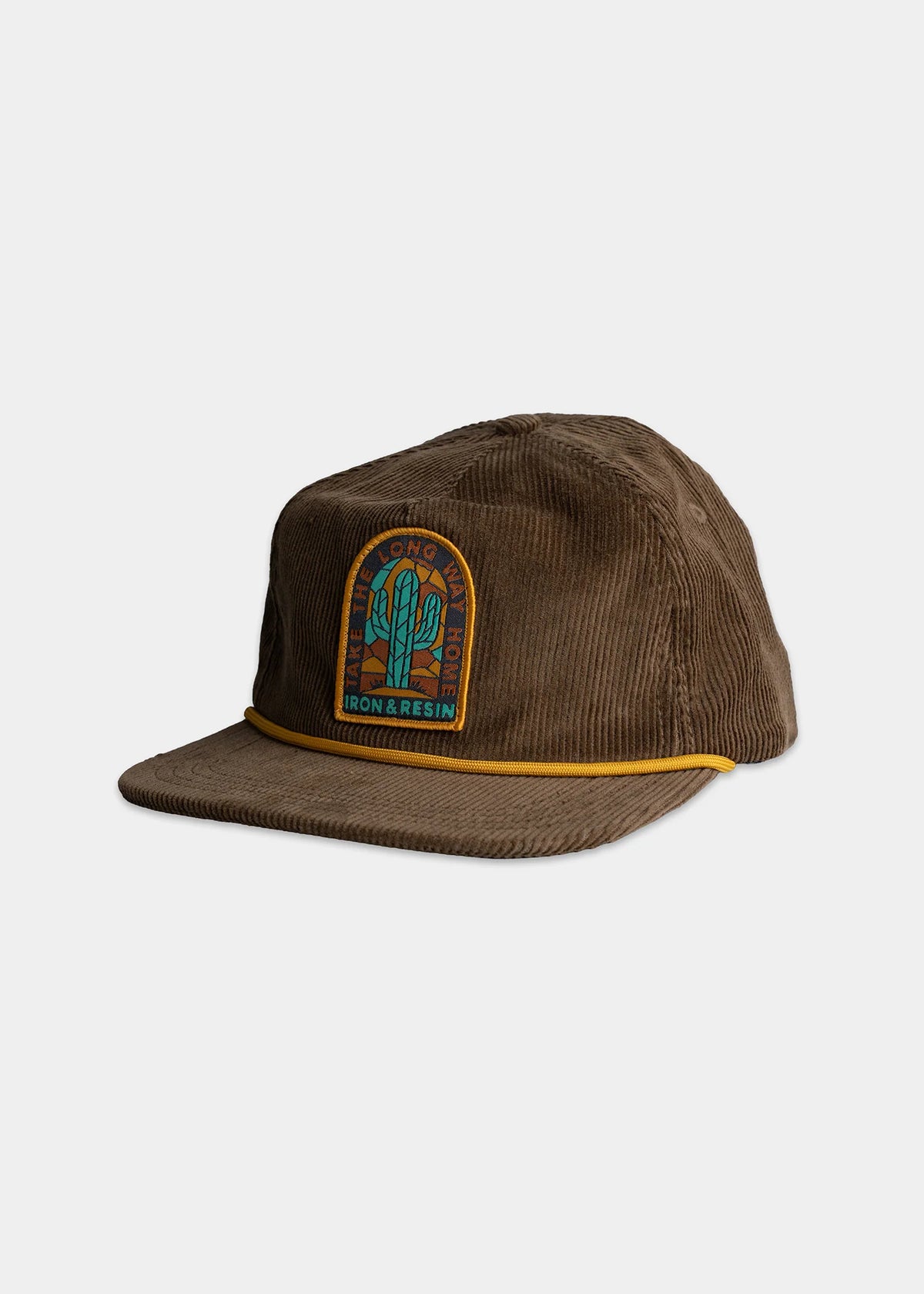 Iron And Resin Cactus Cap Brown