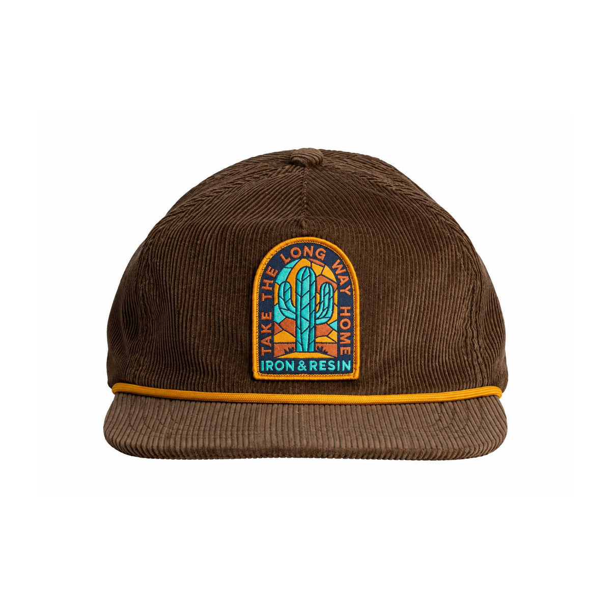 Iron And Resin Cactus Cap Brown