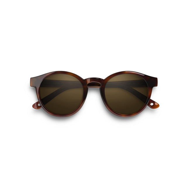 Vallon Waylons Sunglasses Chestnut